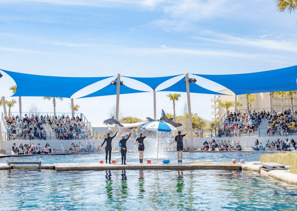 Dolphin show at Gulfarium Marine Adventure Park on Okaloosa Island in Fort Walton Beach Florida